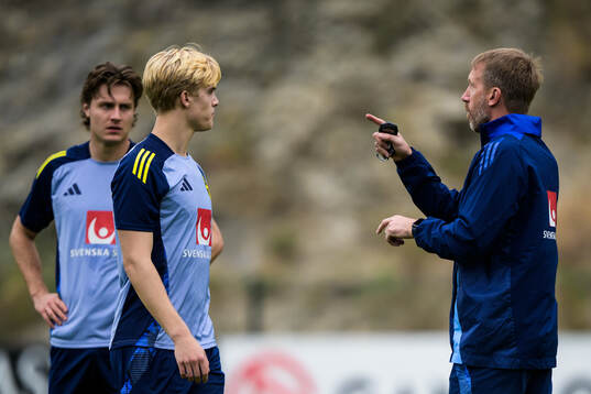 Mattias Svanberg, Lucas Bergvall and head coach Graham