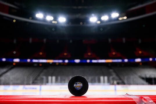 An official practice puck with the logotype of the NHL