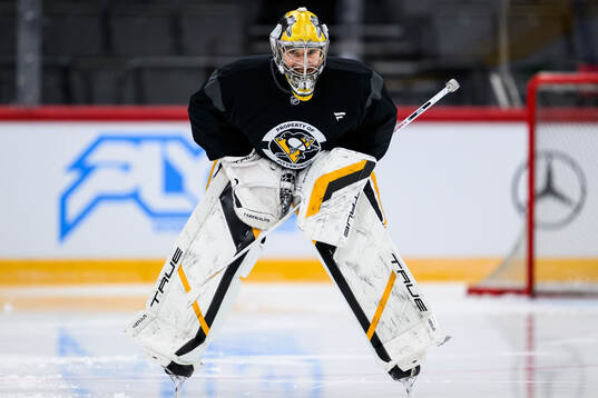 Goaltender Sergei Murashov