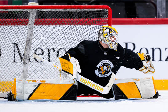 Goaltender Arturs Silovs
