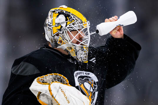 Goaltender Arturs Silovs