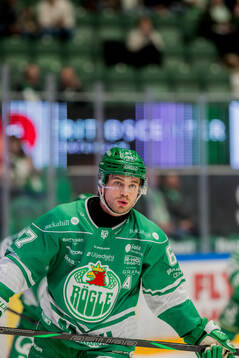 Rögles Leon Bristedt