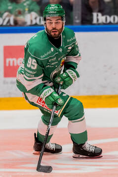 Rögles Mark Friedman