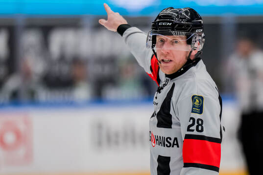 Domare Mikael Holm