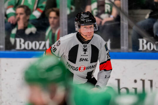 Domare Mikael Holm