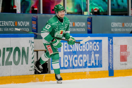 Rögles Leon Bristedt