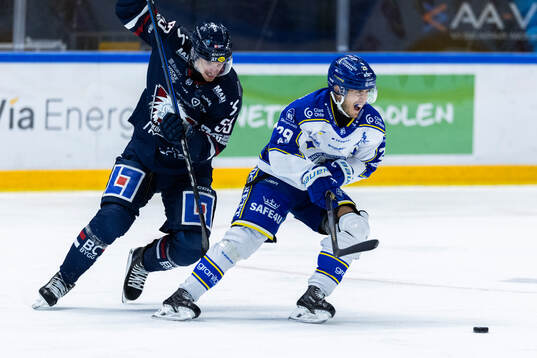 Linköpings Adam Hofbauer och Michael Lindqvist