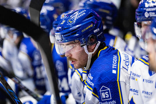Leksands Nolan Stevens deppar