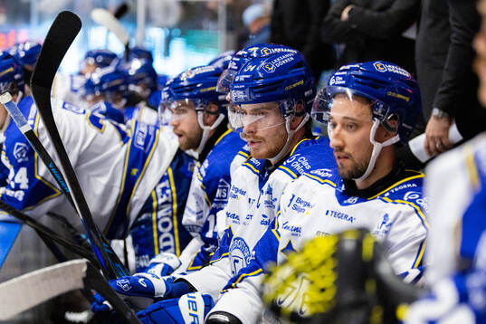 Leksands Peter Cehlarik deppar