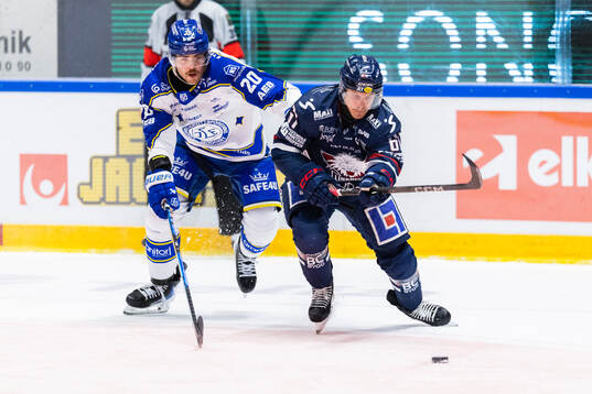 Leksands Nolan Stevens och Linköpings Markus Ljungh