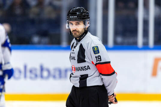 Domare Mattias Enroth