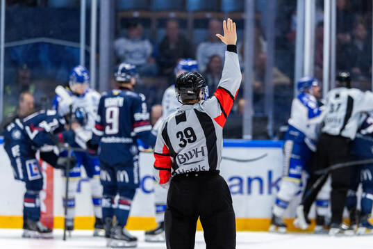 Domare Mattias Enroth