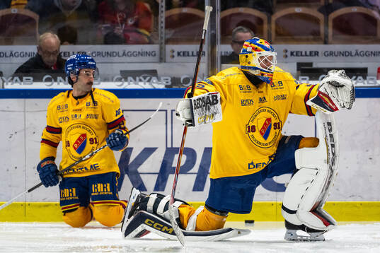 Djurgårdens målvakt Magnus Hellberg