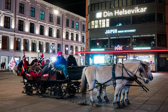 A horse with Norway flags at Karl Johans street