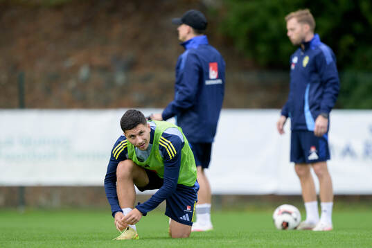 Roony Bardghji of the Swedish national football team