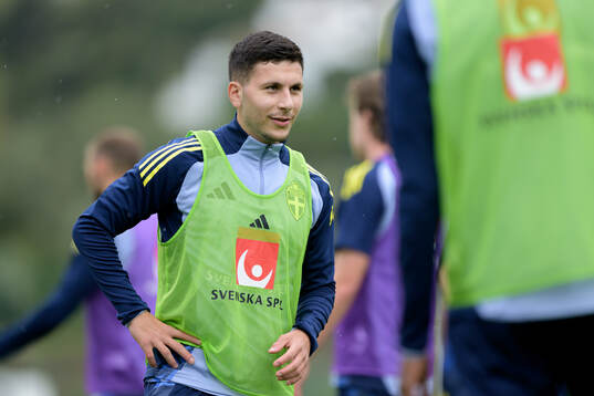 Roony Bardghji of the Swedish national football team