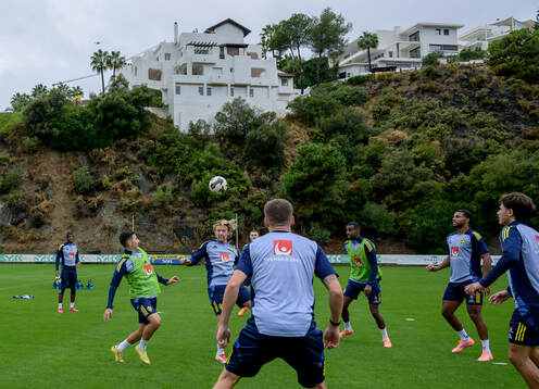 Roony Bardghji and Emil Forsberg of the Swedish national