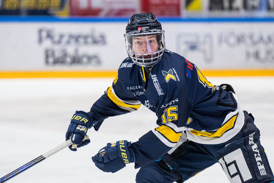 HV71s Sunna Bjorgvinsdottir