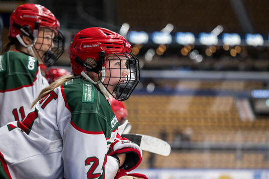 Modos Ebba Hedqvist