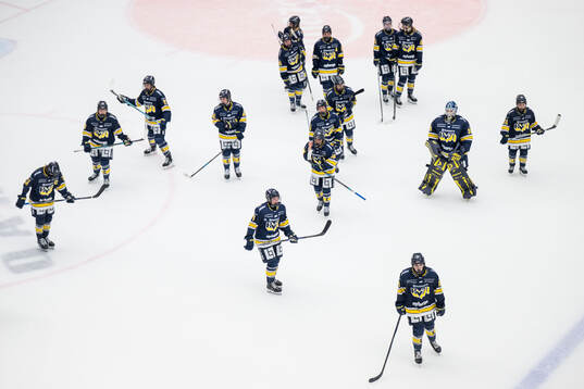 HV71s spelare deppar