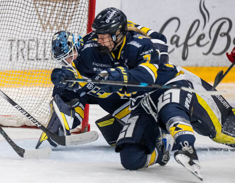 HV71s målvakt Viktorie Svejdova