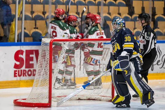 HV71s målvakt Viktorie Svejdova deppar
