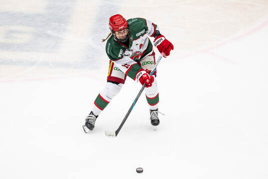 Modos Linnéa Andersson