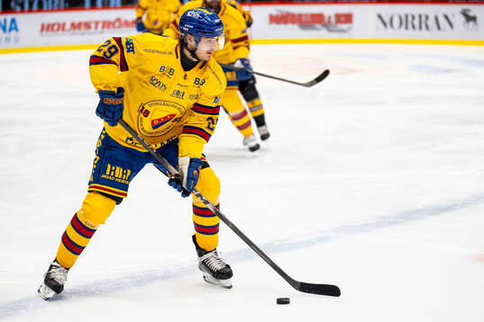 Djurgårdens Håvard Salsten