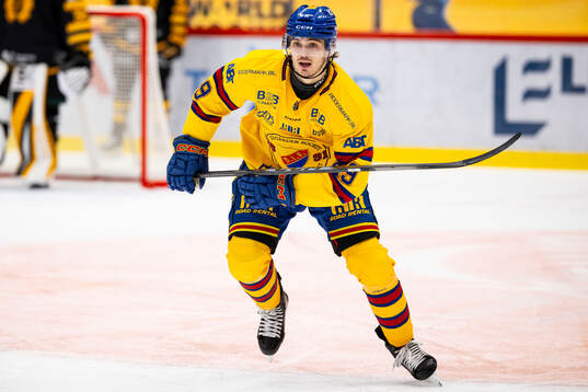 Djurgårdens Håvard Salsten