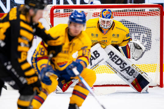 Djurgårdens målvakt Magnus Hellberg