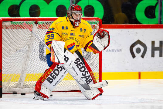 Djurgårdens målvakt Marcus Brännman