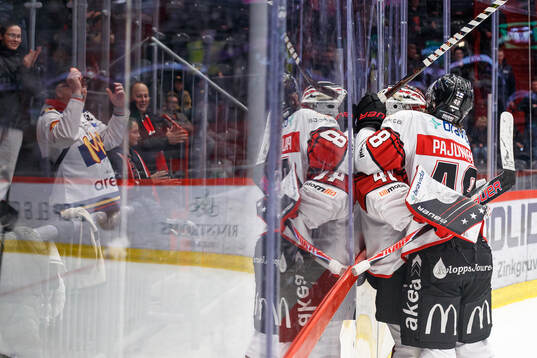 Malmö Redhawks spelare jublar