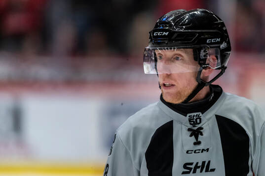 Domare Mikael Holm