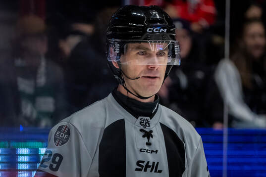 Domare Richard Magnusson
