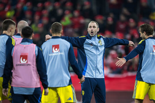 Assistant coach Andreas Georgson of Sweden