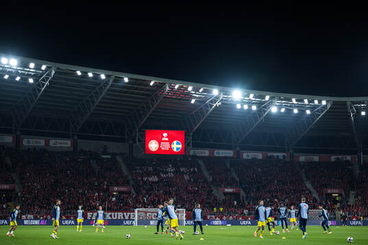 Players of Sweden