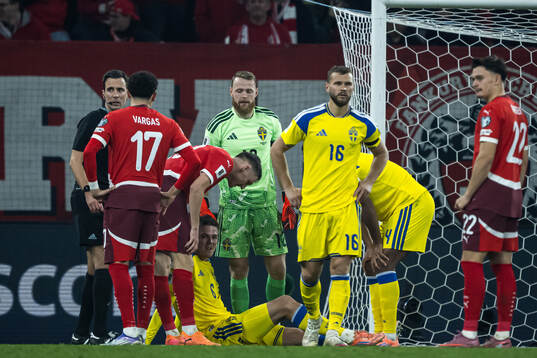 Emil Holm of Sweden in pain