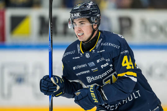 HV71s Hugo Fransson jublar