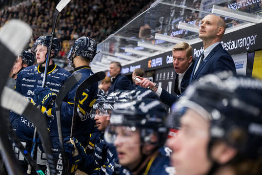 HV71s tränare Anton Blomqvist