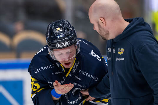 HV71s Andreas Borgman får vård