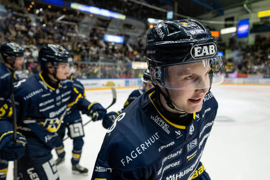 HV71s Hugo Pettersson jublar
