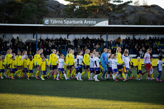 Sveriges och Danmarks spelare på väg in för line up
