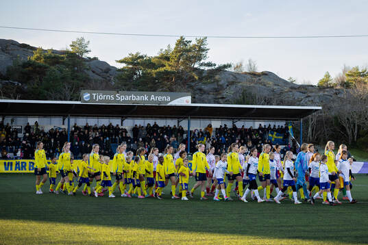 Sveriges och Danmarks spelare på väg in för line up