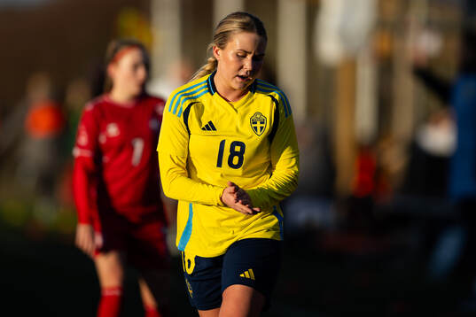 Sveriges Ronia Åbrink