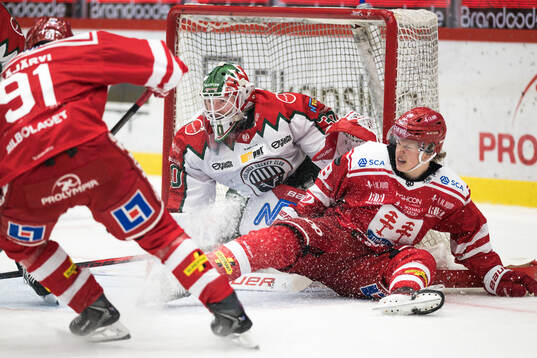 Bläddra bland fler bilder av Ishockey, SHL, Timrå - Frölunda