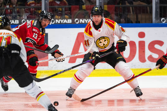 Brynäs Greg Scott