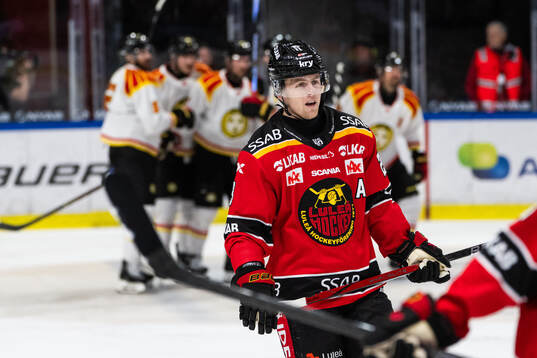 Luleås Jesper Sellgren deppar