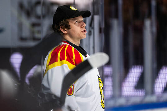 Brynäs målvakt Collin Delia