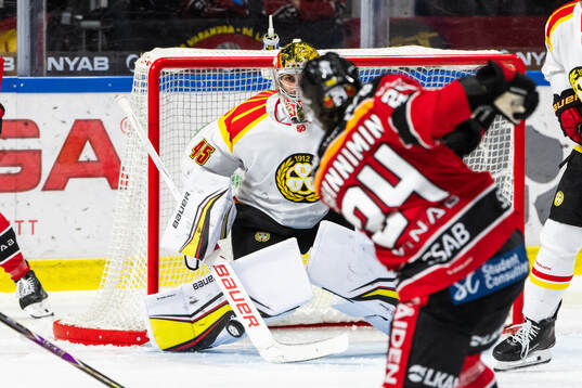 Brynäs målvakt Damian Clara