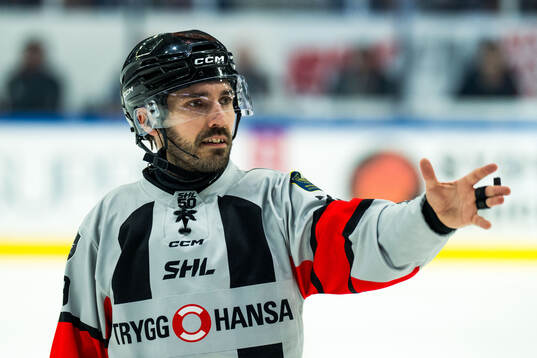 Domare Mattias Enroth